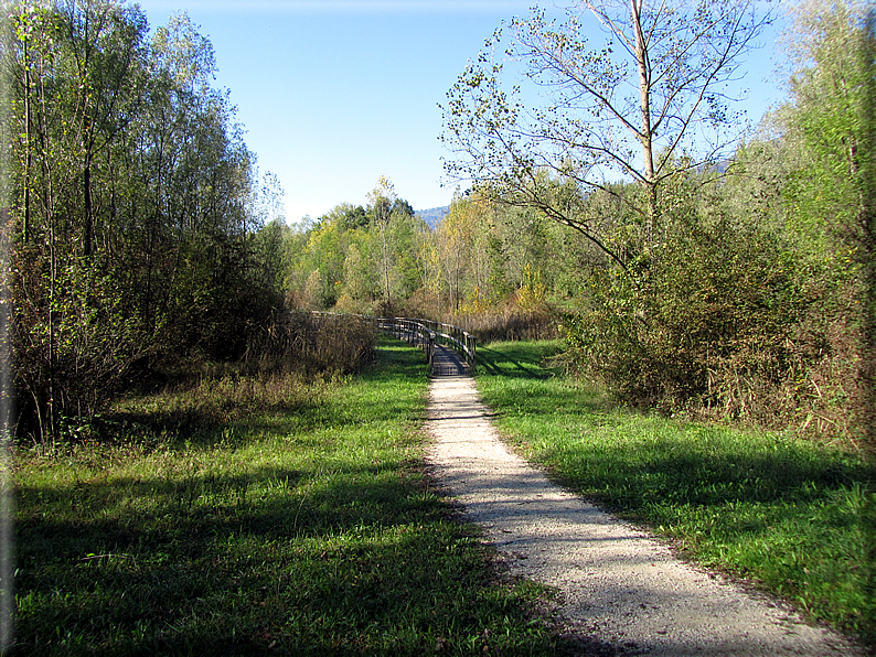 foto Oasi San Daniele